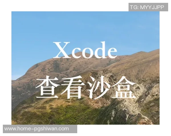 pg888模拟器-探究pg888模拟器的多维度应用与发展-pg888模拟器